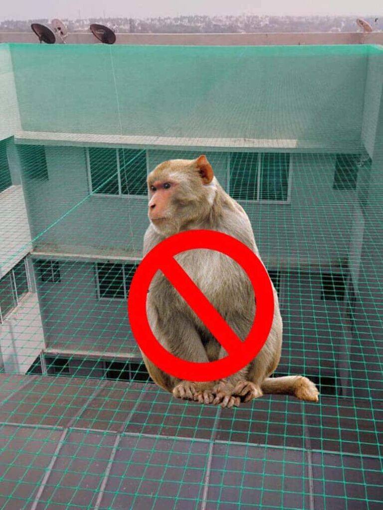 Monkey Safety Nets Near Me