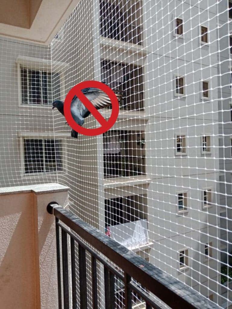 Pigeon Safety Nets Near Me