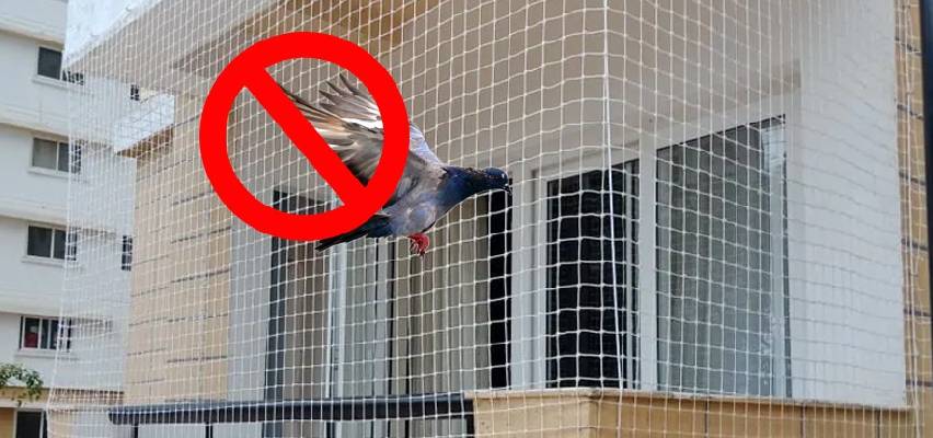 Pigeon Safety Nets Installation